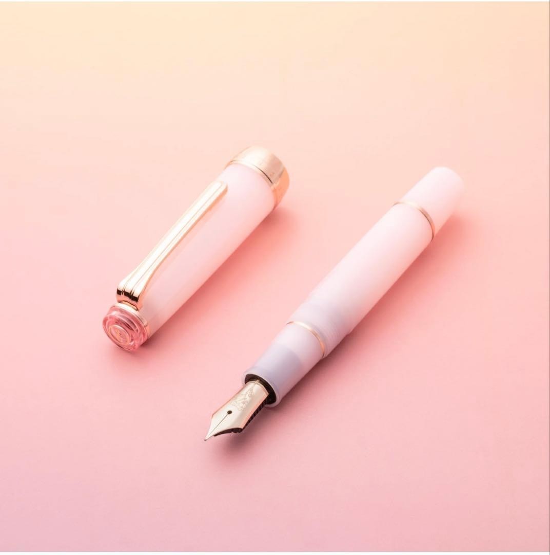 Sailor ProGear collaboration Hachimonjiya Kubo Sakura Bloom Pink Fountain Pen MF