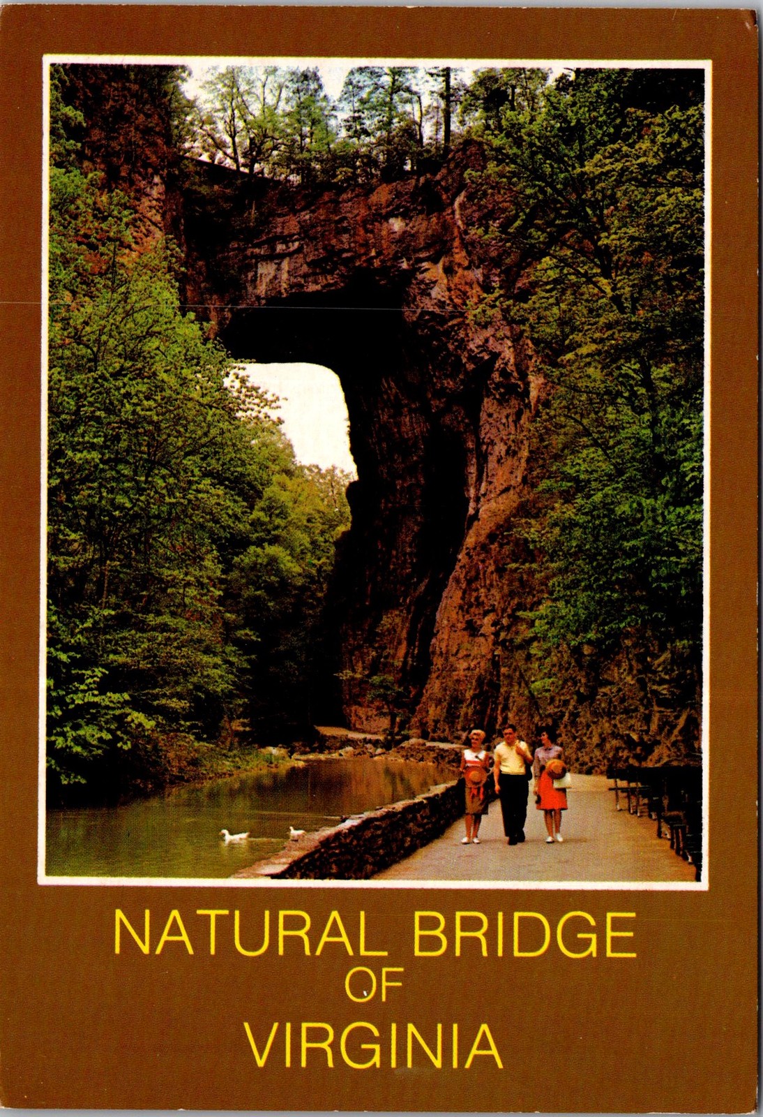 Natural Bridge Visitors Virginia Vintage Postcard 5P21-14