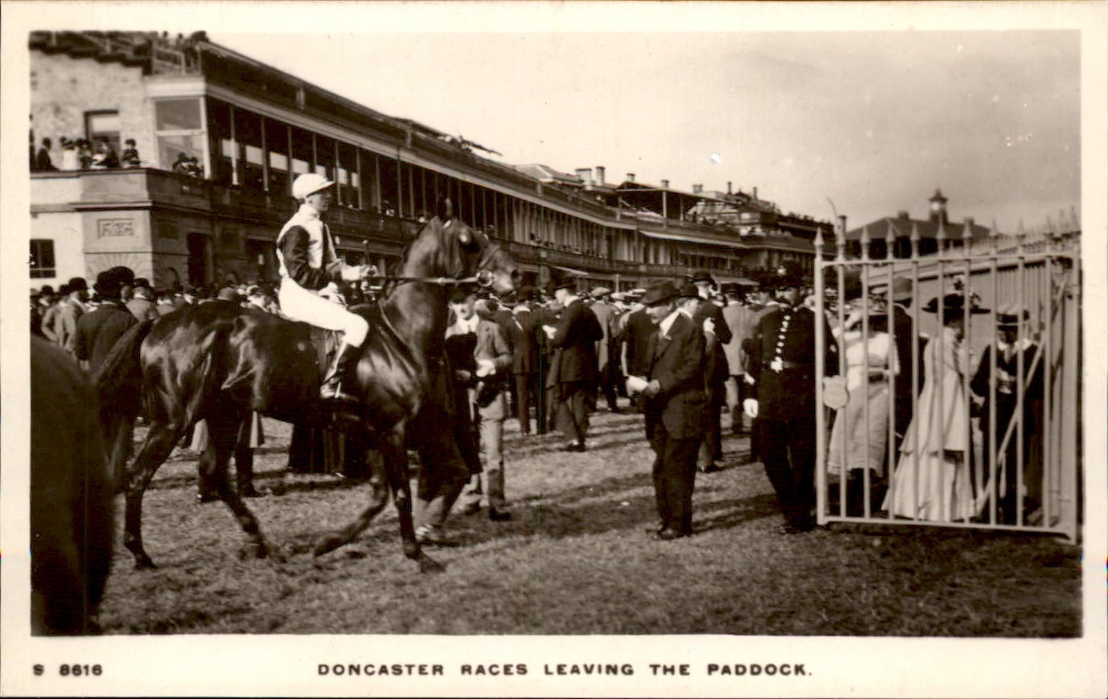 Doncaster Horse Racing WHS c1900s-10s Real Photo Vintage Postcard