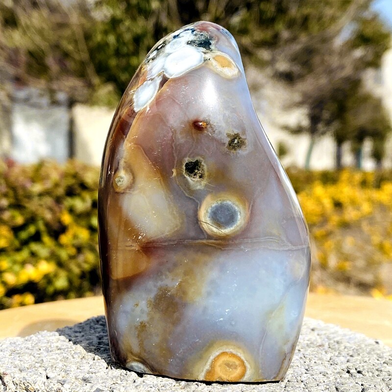 310g Top natural Marine jasper quartz crystal free form mineral specimen
