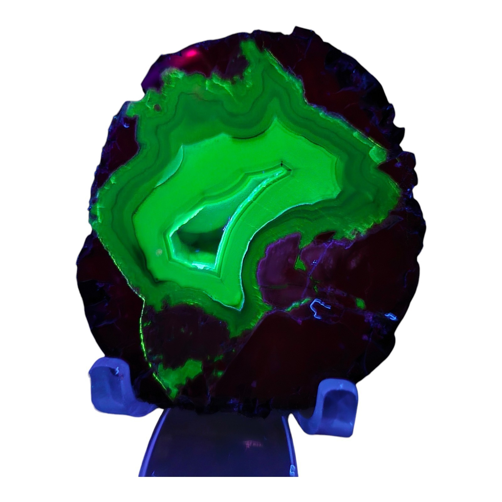 Priday Thunderegg Polished UV Reactive Richardson's Ranch Madras OR Priday Agate