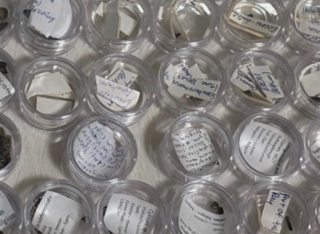 JUST REDUCED 50+ micro-Shark & Fish Fossil Collection Belgium Eocene CASE/VIALS