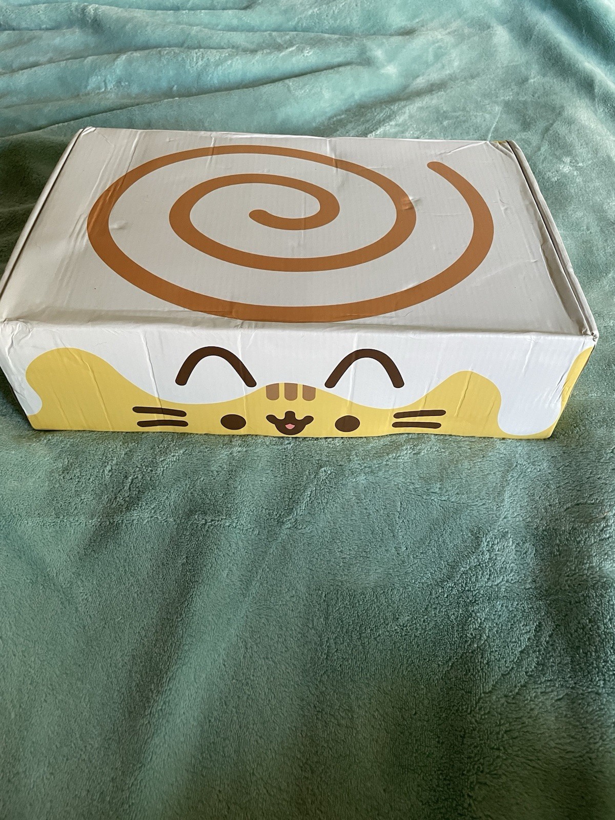 Pusheen 2022 Summer Picnic Snack Exclusive Box Includes All Items Size L Large