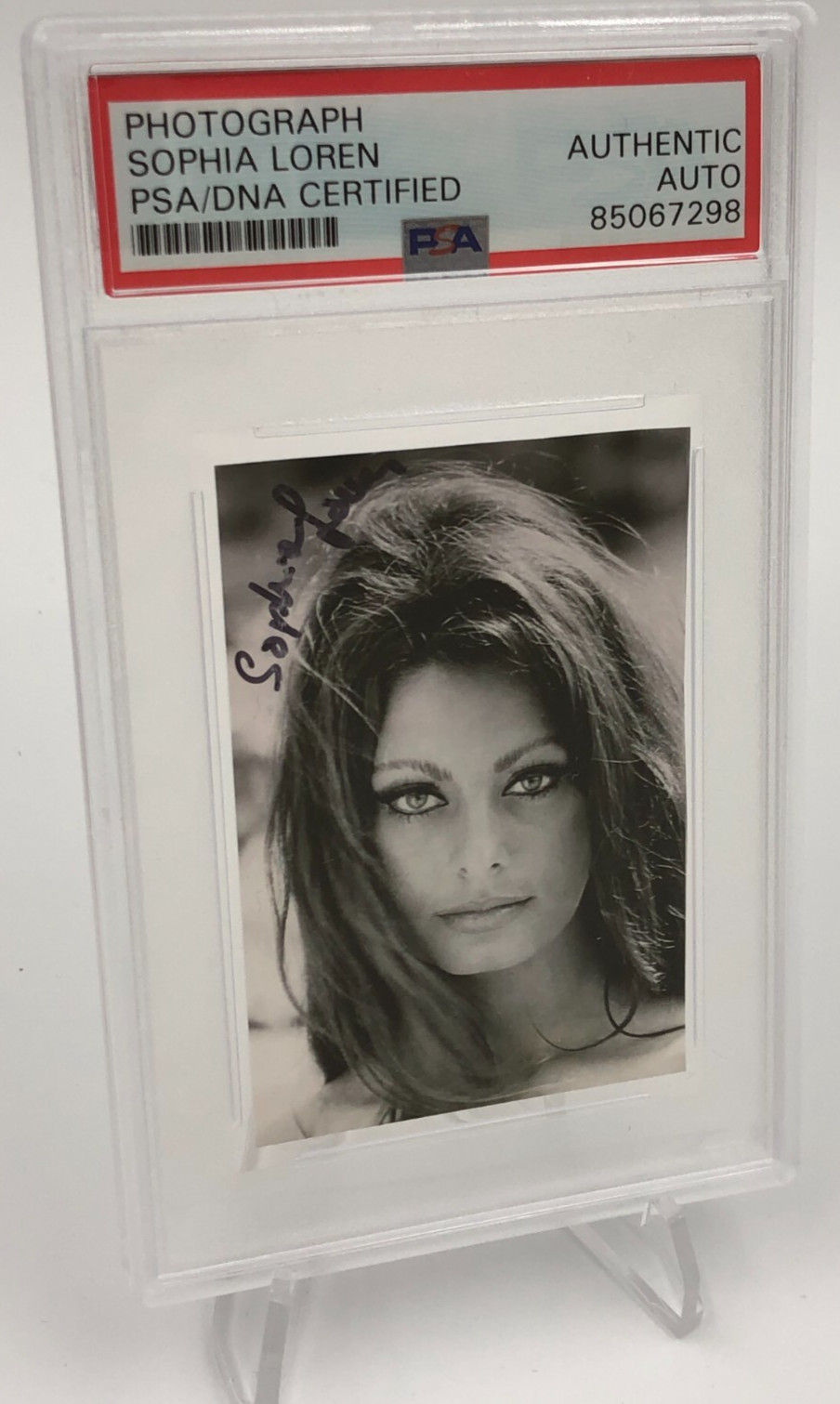 SOPHIA LOREN PSA AUTO Signed PHOTO  Italian Actress  TWO WOMEN  GRUMPIER OLD MEN