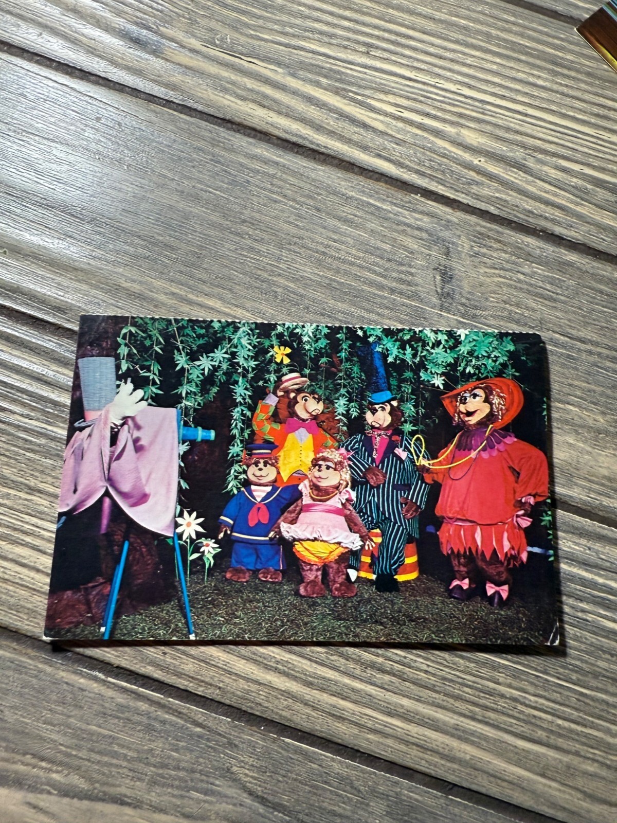 Vintage 1972 Disneyland Postcard Featuring The Bear-y Family Photo Op