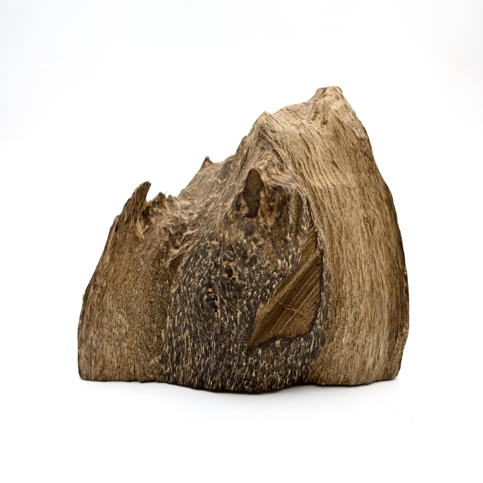 Collective Wild Natural Malaysia Aquilaria Agarwood Wood Stumb 西马野生重油结香老板头沉香蓬莱香 Collective Wild Natural Malaysia Aquilaria Agarwood Wood Stumb 西马野生重油结香老板头沉香蓬莱香