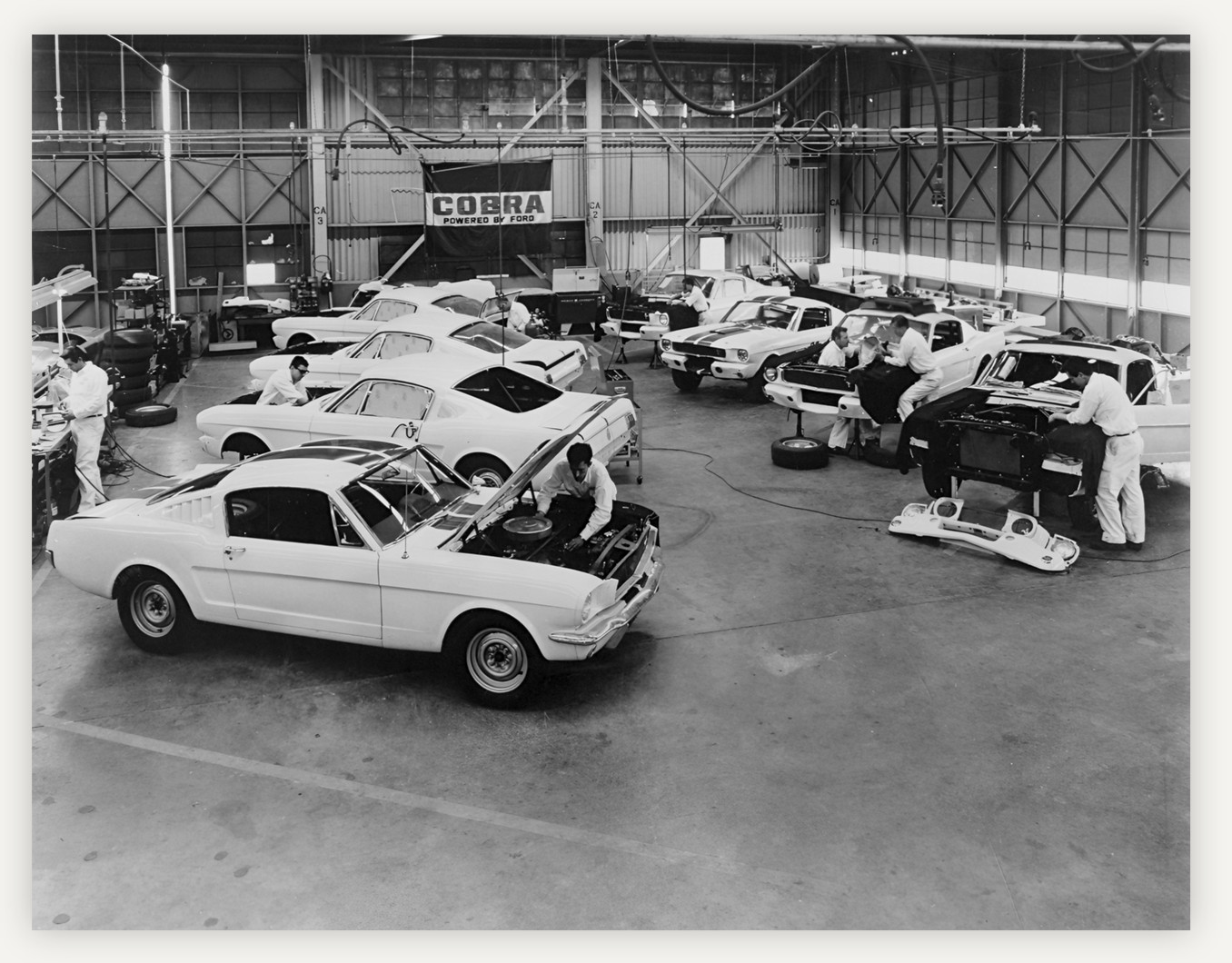 11X8.5 1965 SHELBY MUSTANG GT350 ASSEMBLY LINE PHOTO REPRODUCTION PRINT