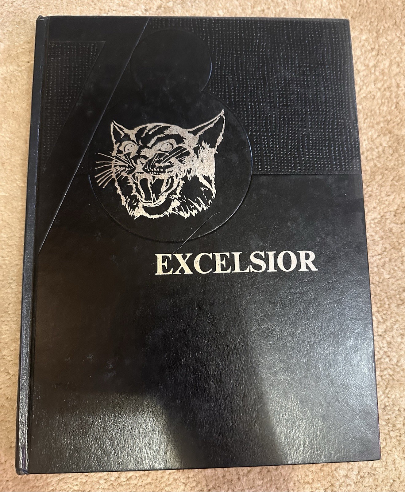Excelsior 1978 High School Yearbook Signed Original