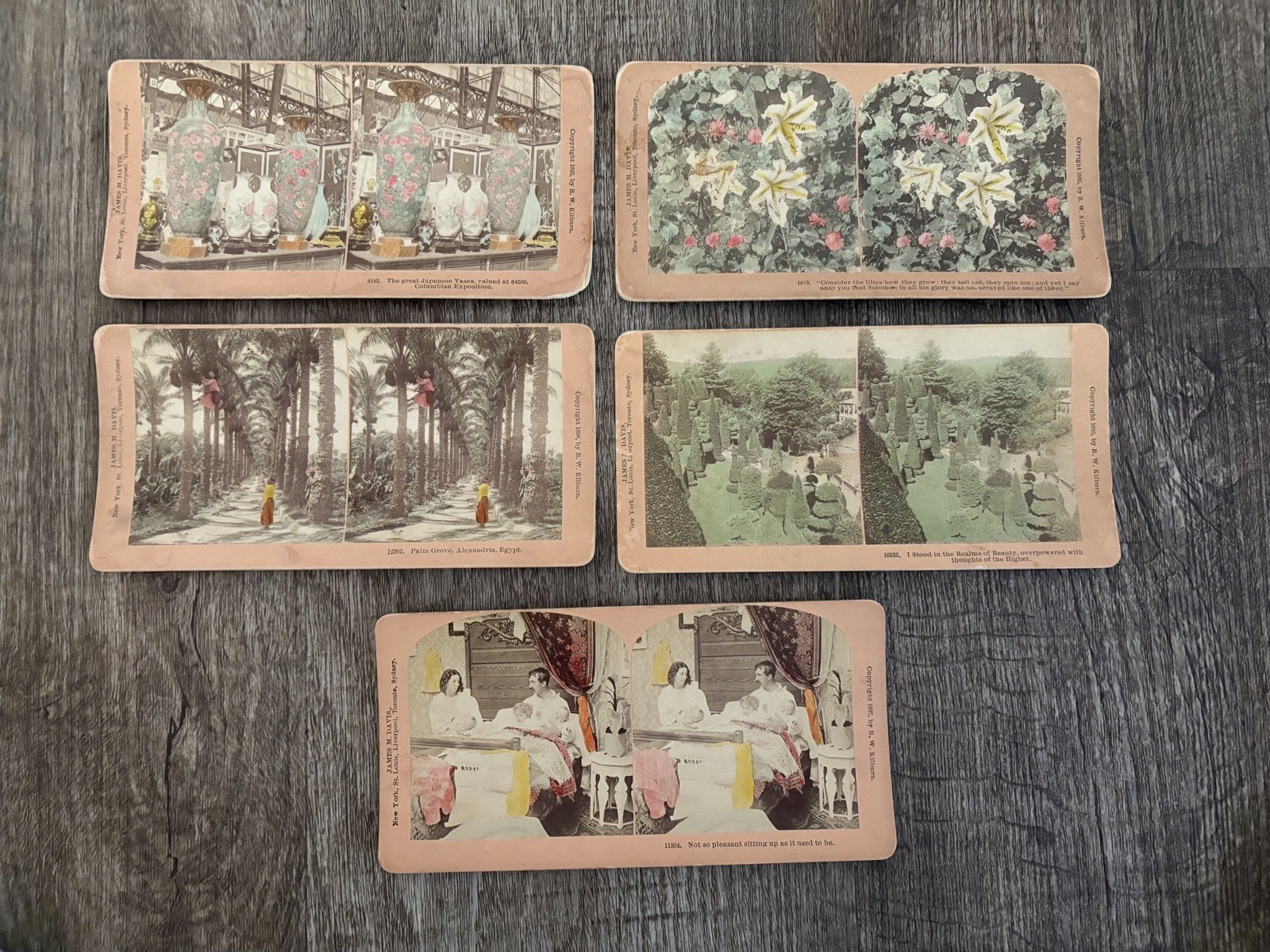 Lot of 5 Antique HAND TINTED Stereoview Cards B. W. Kilburn 1890s 
