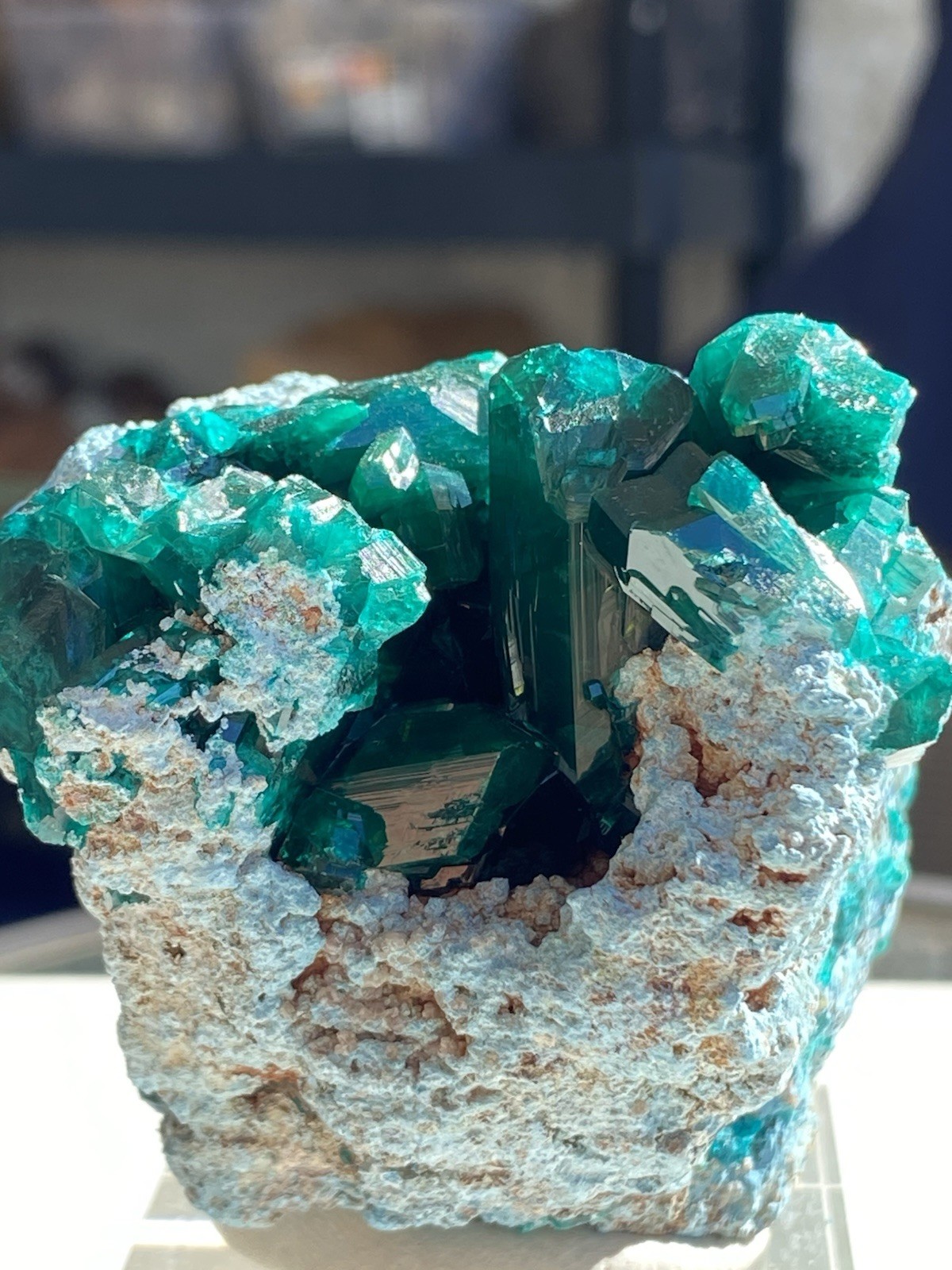 346.5 Gram Large Dioptase & Shattuckite Specimen On Display Stand, DRC