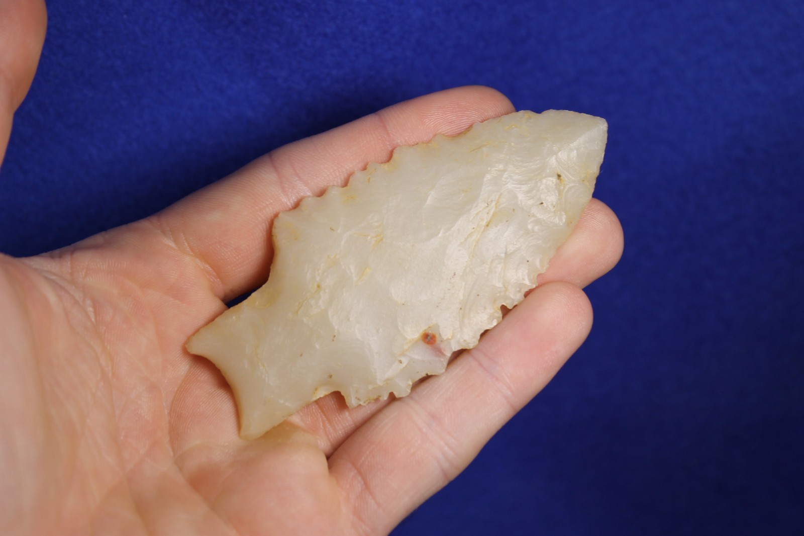Authentic Prehistoric Searcy Arrowhead Artifact Native American Indian
