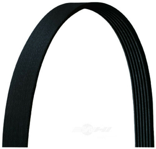 Serpentine Belt Dayco 5050480DR
