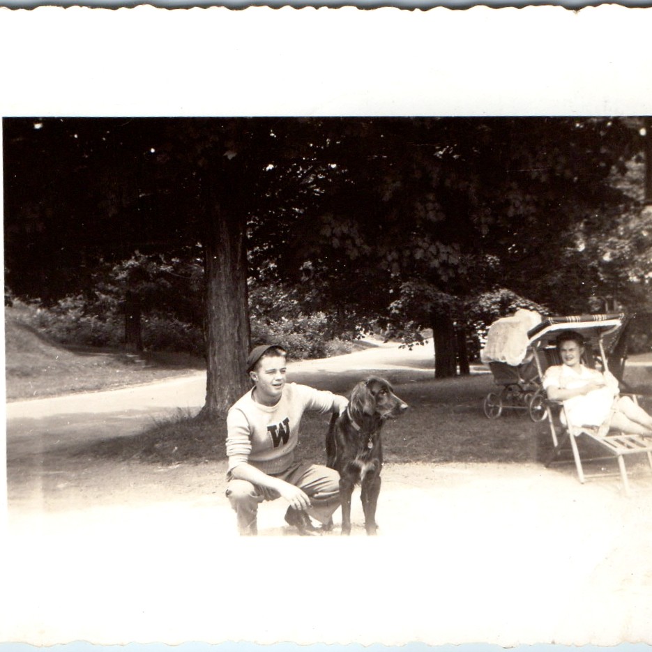 c1940s Boy Letterman W Sweatshirt Flat Coated Retriever Dog Carriage Photo 4\