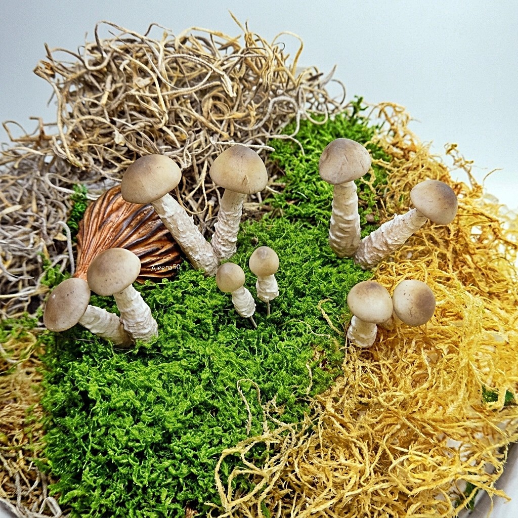10-Pack Handmade Miniature ClayCrafted Artificial Loose Wild Mushrooms US Stock.